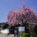 4092-3.jpg
