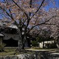 4093-3.jpg