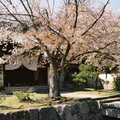 4100-3.jpg