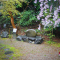4101-2.jpg