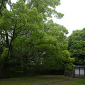 4121-3.jpg