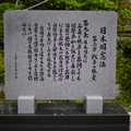 4124-1.jpg