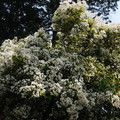 4134-1.jpg