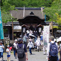 4138-1.jpg