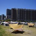 4138-3.jpg