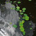 4145-3.jpg