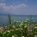 4163-3.jpg