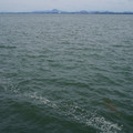 4165-1.jpg