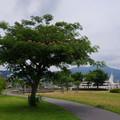 4167-1.jpg