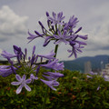 4170-1.jpg