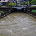 4183-1.jpg