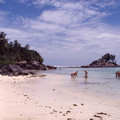 4185-3.jpg