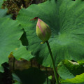 4189-1.jpg