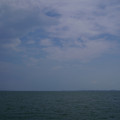 4197-1.jpg