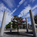 4223-1.jpg