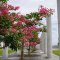 4228-1.jpg