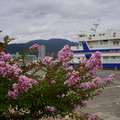 4228-3.jpg