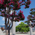 4236-1.jpg