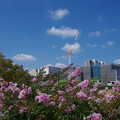 4236-3.jpg