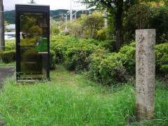 8月