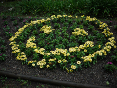 6月