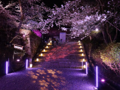3月