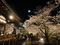 4月
